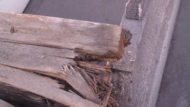 IMAG0022.jpg