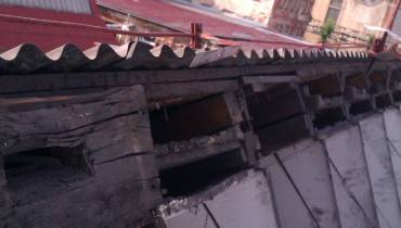 IMAG0024.jpg
