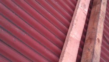 IMAG0025.jpg