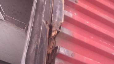 IMAG0042.jpg