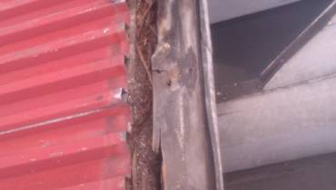 IMAG0045.jpg