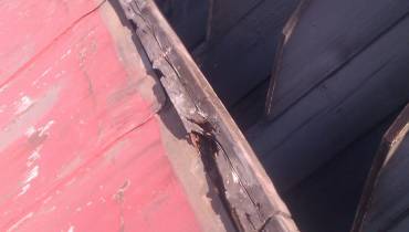 IMAG0067.jpg