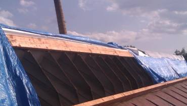 IMAG0070.jpg