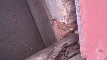 IMAG0103.jpg