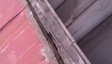IMAG0104.jpg
