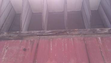 IMAG0109.jpg