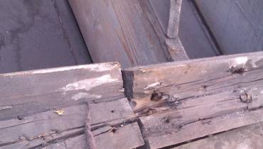 IMAG0110.jpg