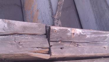 IMAG0115.jpg