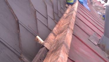 IMAG0135.jpg