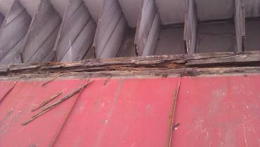 IMAG0139.jpg