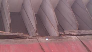 IMAG0153.jpg